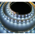 Neon Lights flexible 5050 SMD IP20/IP65/IP67/IP68 available